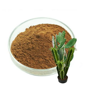 Nopal